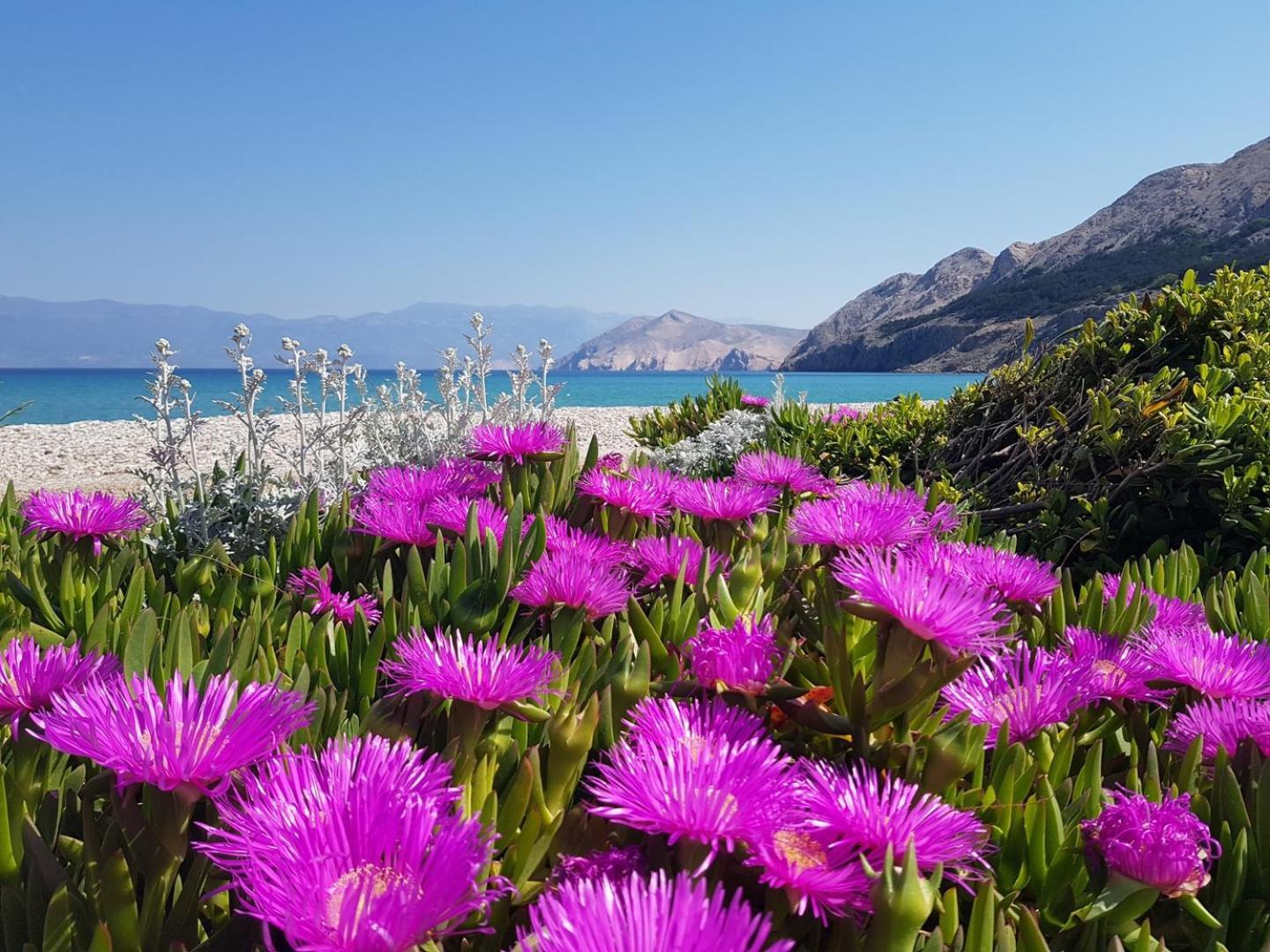 Apartments Teljega Baška Екстериор снимка